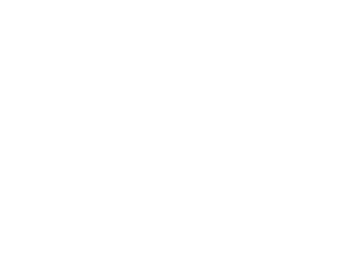 HCSS Logo